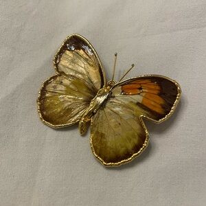 Stunning vintage real butterfly brooch